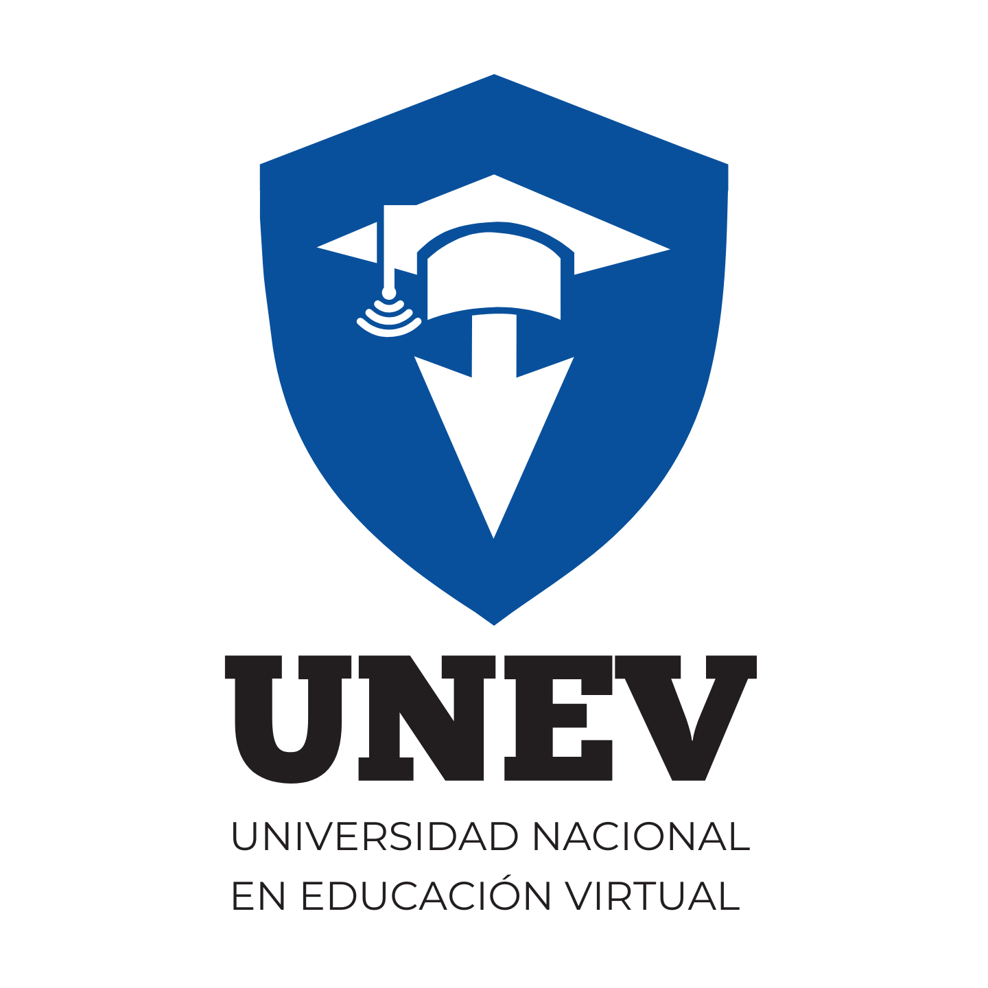 Universidad UNEV